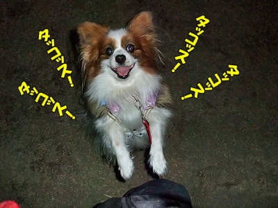 ¥¿¥Ã¥³¥Ã¥¹¡ú¦