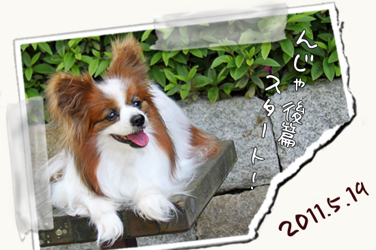 ¡ÚWan 2011¡Û¡Ê¸åÊÓ¡Ë¡¡06