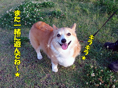 ¥Ç¥Ë¡¼¥í¬