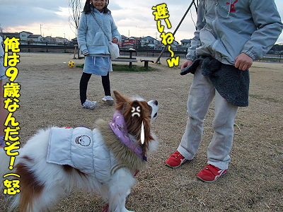 ¥ª¥Õ²ñ¡ú¾®³ØÀ¸¡Ê¤¿¤Ö¤ó´°Á´Èǡ˧