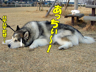 ¿¿Åߤλ¶ÊâÆ»¡¦¡¦¡¦¡¦®