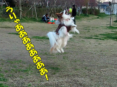 ¤È¤Ã¤Æ¤â¥Ï¥¤¥¸¥ã¥ó¥×¡ú§