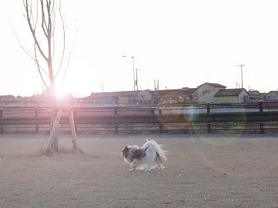I AM LEGEND¡¦¡¦¡¦¡©«
