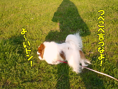Áö¤Ã¤ÆËº¤ì¤è¤¦¡ª¦