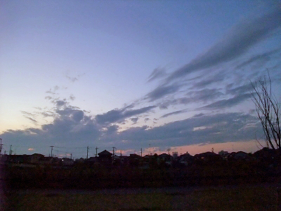 ¹¤¤¤«¡¢¶¹¤¤¤«¡©¡