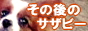 ¤½¤Î¸å¤Î¥µ¥¶¥Ó¡¼