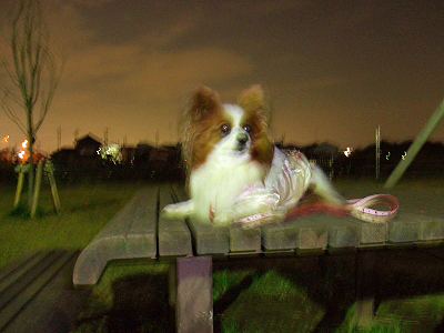 »°ÃúÌܤÎͼÆü¦