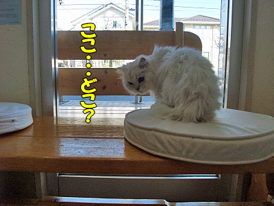 ¥é¥éɱ¡¹ßÎסú¡