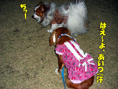 ²ø¤·¤¤±Æ¡¦¡¦¡¦¡¦¡Ê¸åÊÔ¡Ë«
