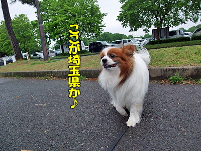 Àî±Û»²¾å¡ª¤½¤Î£±¢