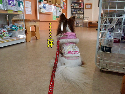 ¸¡ºº·ë²Ì¤Ï¡¦¡¦¡¦¡©¤