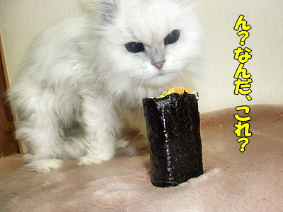 ÂÀ´¬¤¿©¤Ù¤¿¤¤¡ª©
