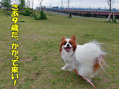 Happy Birthday SAZABY¡¡2008£