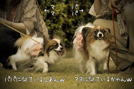 ¡Ú¥µ¥¶¥ª¥Õ2011¡Û part3¡¡15