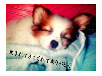 Happy Birthday sazaby��