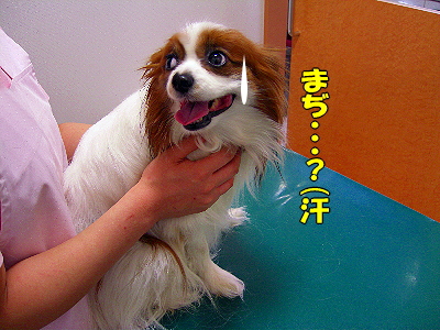 ¡ú¥µ¥¶¥Ó¡¼¤´²ûÇ¥¡ú¤