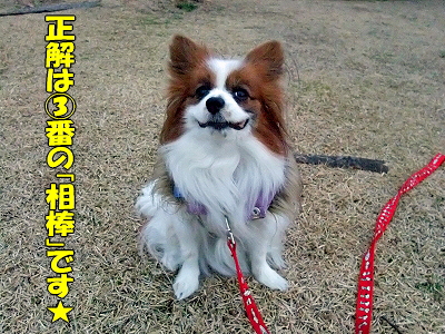 ¥ì¥Ã¥É¥«¡¼¥É¡úÅöÁª¼Ôȯɽ¡ª£