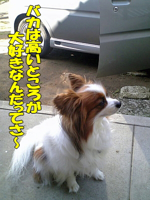 ¥Ð¥«¤Ï¹â½ê¹¥¤