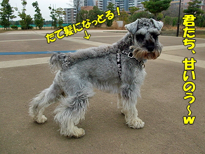 JOY¤È¶¦¤Ë¡¦¸åÊÔ§
