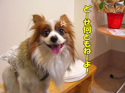 ¤ï¤º¤«¤Ê·ä´Ö¡¦¡¦¡¦¦