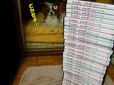 ¸ÆµÛ¤Î¾É¾õ¡¦¡¦¡¦¨