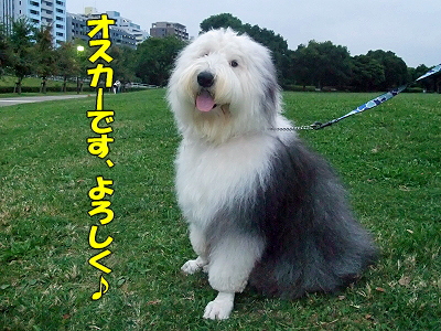 ÇòÃã²ñ¾ì¤Ø¤è¤¦¤³¤½¢ö¦