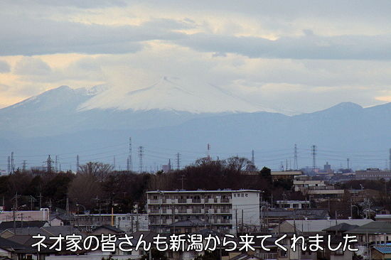 ¸Åʯ¤Ç¿·Ç¯²ñ¡¦¡¦¡¦¡¡07