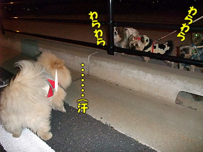 ¥Ð¥¤¥ª¥Ï¥¶¡¼¥É£