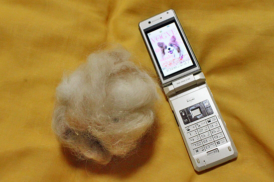 ¤µ¤è¤Ê¤é¡¢¥Ð¥¤¥Ð¥¤¡¦¡¦¡¦§