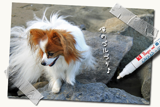 ¥µ¥¶¥Ó¡¼¡¢¥´¥ë¥´¥À¤ÎµÖ¤ËΩ¤Ä¡ª¡ª¡¦¡¦¡¦¤«¤â¡©¡¡03