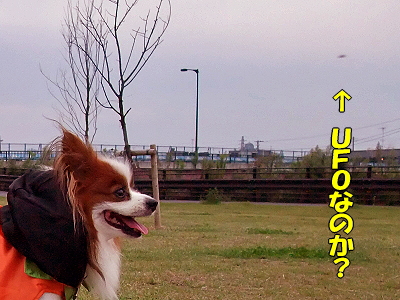 ¥µ¥¶¥Ó¡¼¤ÈUFO¥