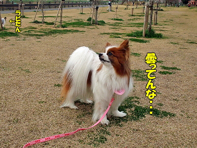 ¤¹¤×¤ê¤ó¤°¡ú¥×¥Á¥ª¥Õ part2¢