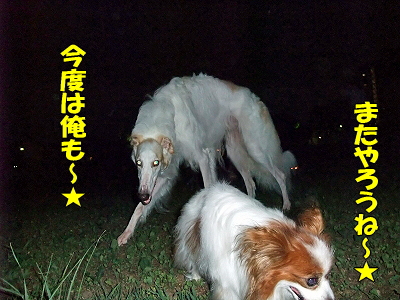 ´ë²èÅݤìorz£