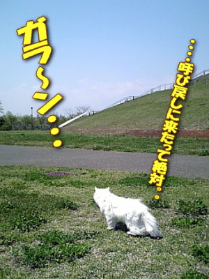 ï¤â¤¤¤Ê¤¤¡¦¡¦¡¦¡¦