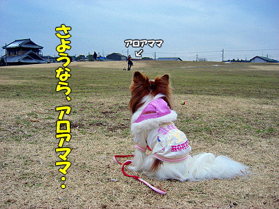 ¥¢¥í¥¢¤è¡¢±Ê±ó¤Ë¡¦¡¦¡¦¡¦22