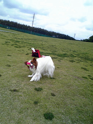 ¤¦¤ê¤ã¡¦¡¦¡¦¡¦¤¢¤¿¡ª