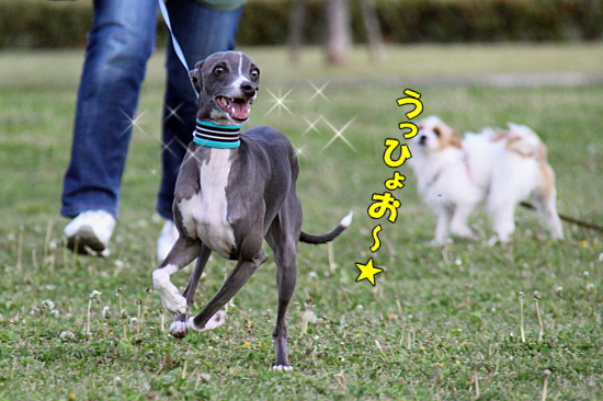 GWÁ°¤ÎÃϸµ¥ª¥Õ¡¦¡¦¡¦¤ß¤¿¤¤¤Ê¡¡10