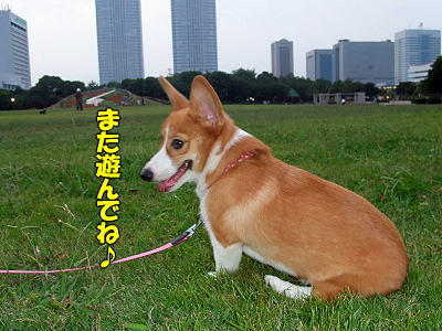 ¥³¥®ÉסúÍè½±¡ª¯