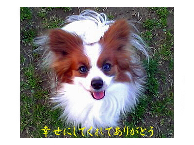 Happy Birthday sazaby��