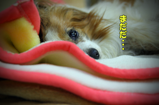 ¤ªÃ뿲DAY¡¡05