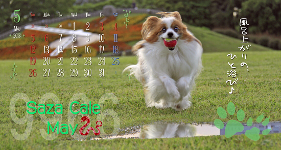¡Ú¥µ¥¶¥«¥ì2013¡ÛÇÛÁ÷¡Á¡ú¡ù¡ú¡¡09