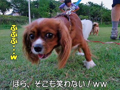 ¥Ö¥é¥Ü¡¼¡¦¥¢¥í¥¢¡úª