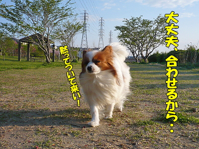 Áö¤Ã¤ÆËº¤ì¤è¤¦¡ª¥