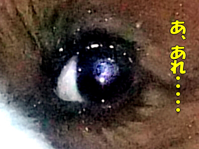 ³§´ûÆü¿©©