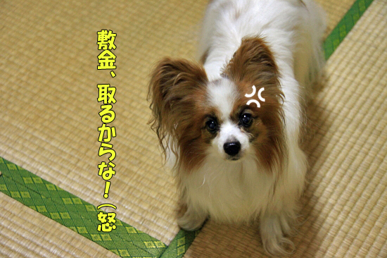 ¥¦¥Á¤Ë¤ª¤¤¤Ç¤è¢ö¡¡06