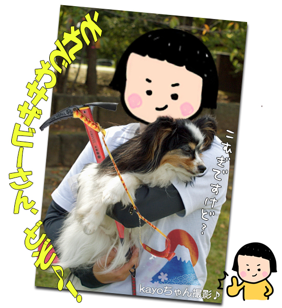 ¡Ú¥µ¥¶¥ª¥Õ¡¦2014¡Û¡ú¤½¤Î4¡¡µÞ®½¼ÅÅÃæ¡Á¡ª¡¡23