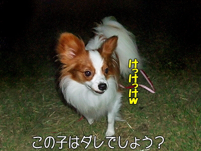 ¤À¤«¤éï¤À¡©¡©¤