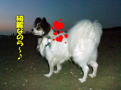 ¥é¥Ó¥¿¥¤¥à¢ö¡Ê¸åÊԡ˲