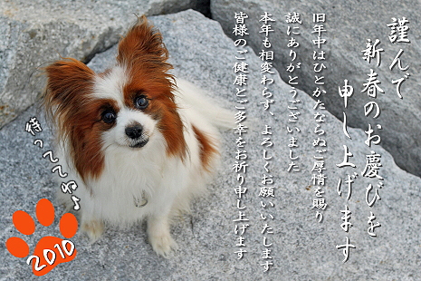 ¤ªÏͤӤÈǯ²ì¾õ¡ú£