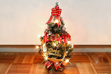 Merry Christmas 2009¥